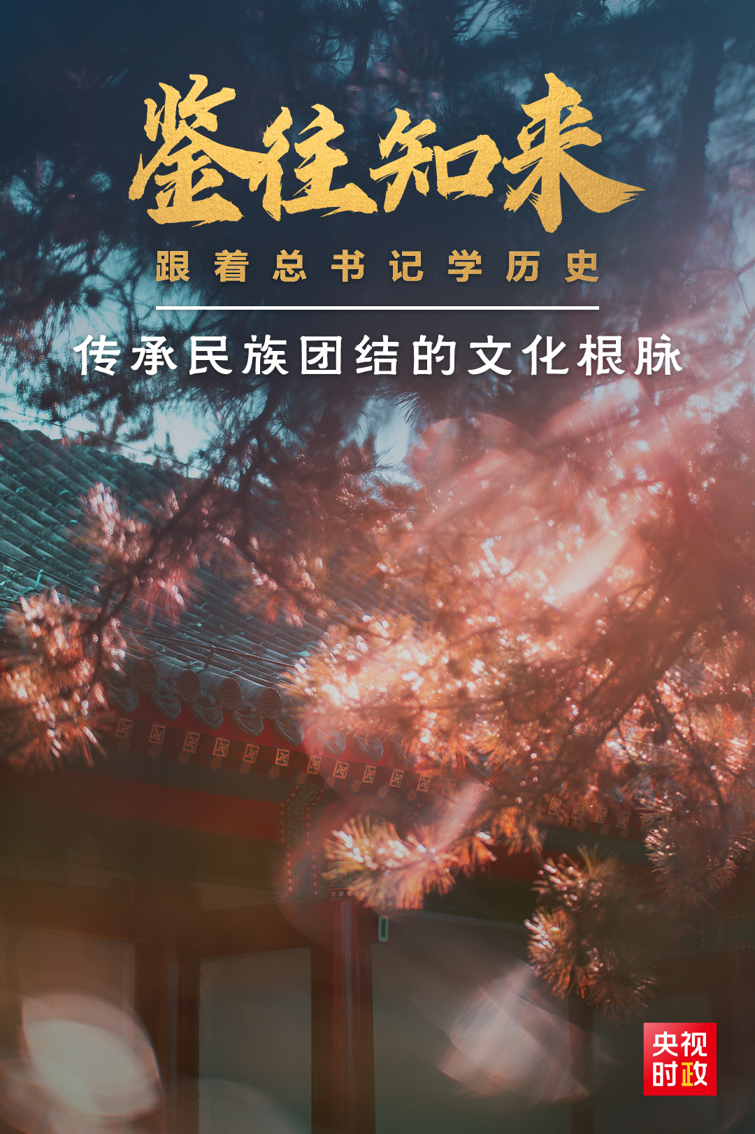 鑒往知來丨跟著總書記學歷史：從承德之行看如何傳承民族團結(jié)的文化根脈