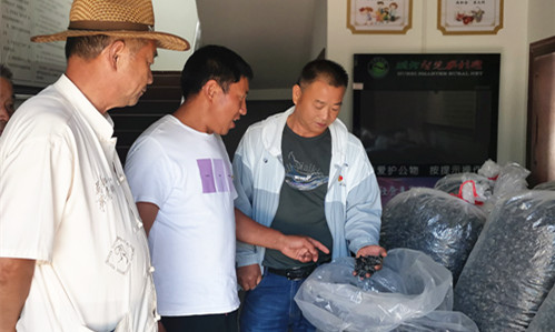 黨旗飄飄張明國(guó) ：初心如磐 使命在肩