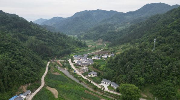 《黨旗飄飄》詹運(yùn)成：用初心和使命書寫一名老黨員的為民情懷