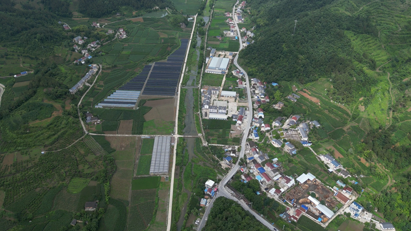 《黨旗飄飄》饒飛：躬耕基層沃土 全心服務(wù)群眾