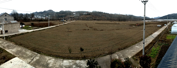 怡嘉商貿：發展設施農業 助力鄉村振興