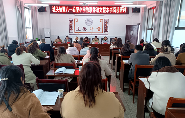 城關鎮八一希望小學舉辦教聯體教研活動
