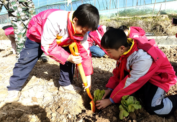 八一希望小學： 研學實踐促成長  知行合一在路上