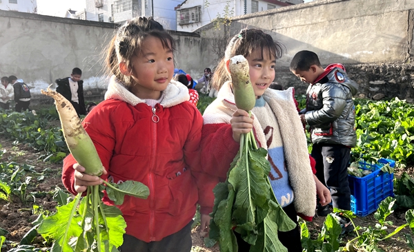 房縣青峰鎮中心幼兒園：親近自然，快樂收獲