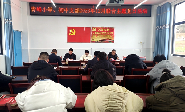 青峰初中 小學黨支部舉行12月主題黨日活動