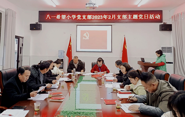 八一希望小學扎實開展“十星級”黨員爭創活動