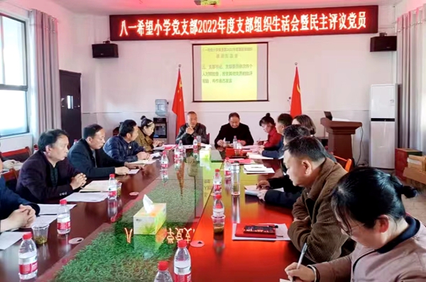 城關鎮八一希望小學黨支部：組織生活會動真碰硬“辣”味濃