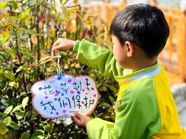 房縣青峰鎮中心幼兒園：愛綠在心，護綠在行