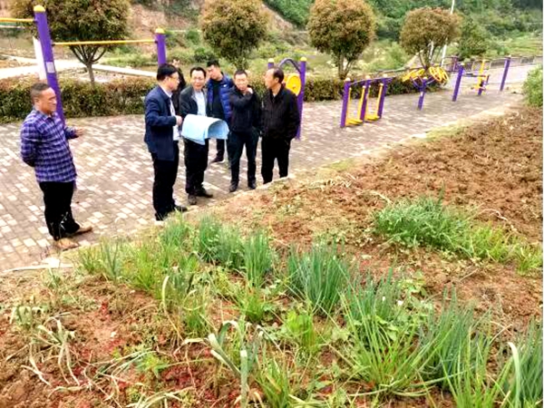 青峰鎮陽坪村級幼兒園開工建設