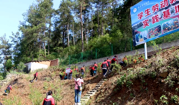 田園春耕好時光  勞動教育正當時