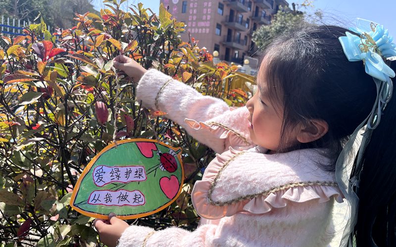 房縣青峰鎮中心幼兒園：護綠從娃娃抓起