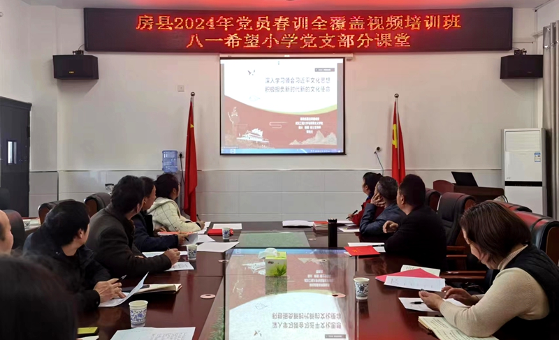 八一希望小學黨支部：以訓促學淬黨性  以學促干提質效