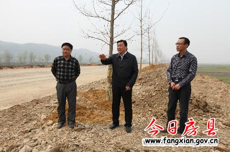 確保4月10日完成縣城至軍店一級路綠化工程任務