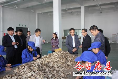 充分發(fā)揮資源優(yōu)勢(shì) 做大做強(qiáng)我縣醫(yī)藥藥材產(chǎn)業(yè)