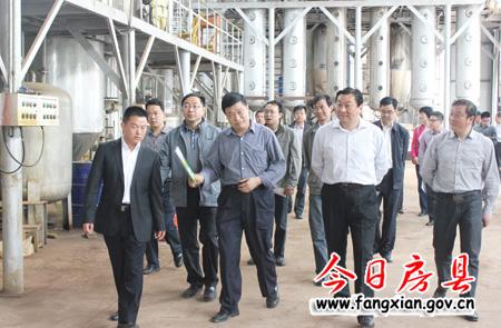 省經信委領導來我縣調研工業經濟發展情況