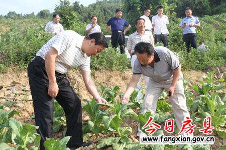 真抓實干　推動鄉(xiāng)域經(jīng)濟社會又好又快發(fā)展