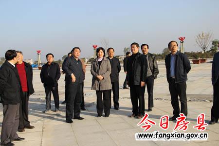 省人大副主任王玲一行調(diào)研我縣扶貧攻堅工作