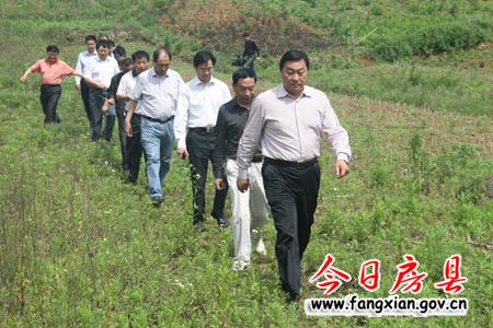 科學施工 搶抓時間節點 全力以赴推進我縣重點項目建設