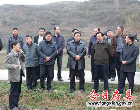 市人大領導來我縣視察竹房城鎮(zhèn)帶建設情況