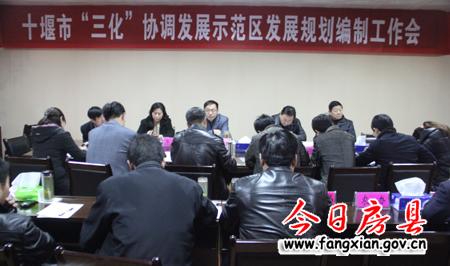 科學合理地推進"三化"協調發展示范區編制工作