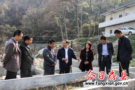 釋放資源潛能 做大做強特色產(chǎn)業(yè)