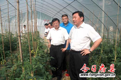 對接大市場培強大產業  建成十堰城區商品菜生產基地