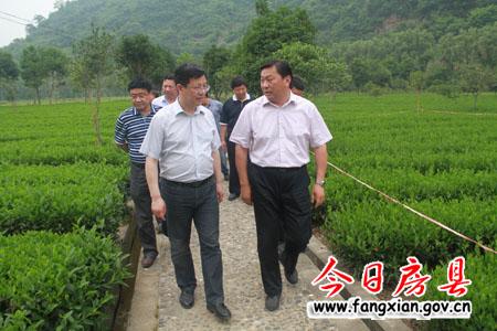 拓展園區(qū)發(fā)展平臺 推動房縣工業(yè)經(jīng)濟(jì)跨越發(fā)展