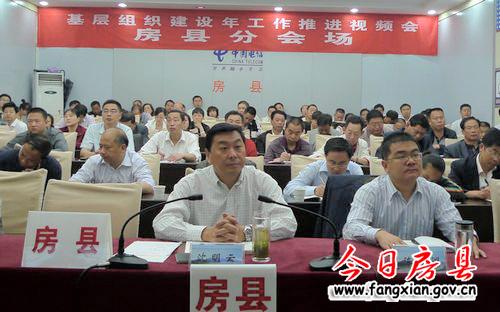 大力推進基層組織建設年各項工作