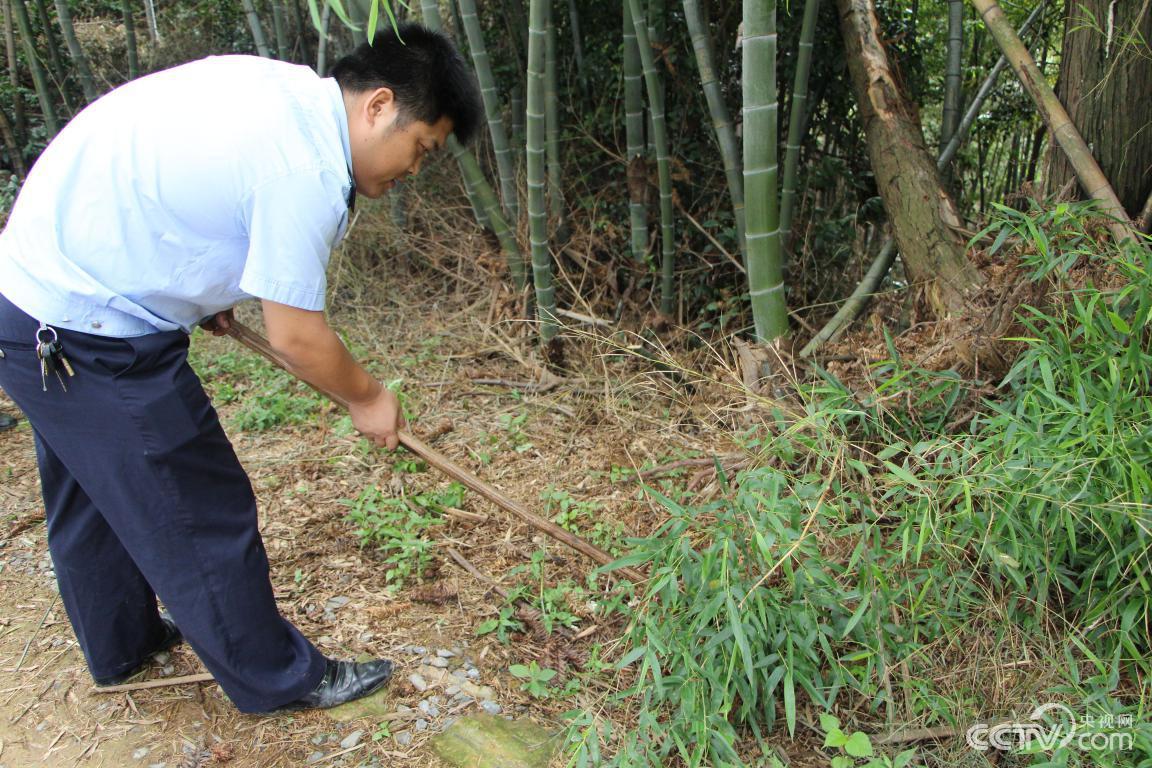王超在保護區外圍排查鋼絲夾