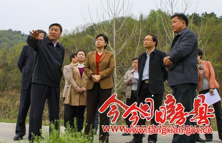 市委副書記郭俊蘋來我縣調研“三農”工作