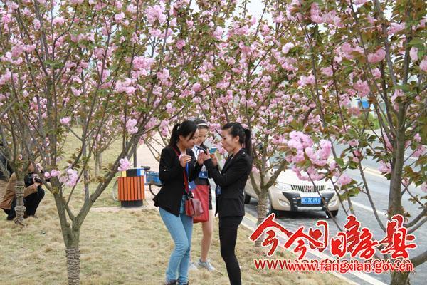 詩經(jīng)廣場 詩經(jīng)大道美景