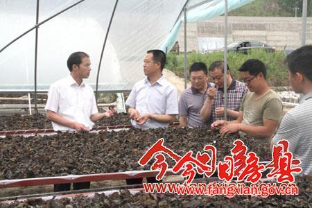 放大資源優勢  做強富民產業  加快經濟發展