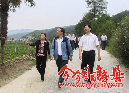 蔡賢忠調(diào)研竹房城鎮(zhèn)帶房縣片區(qū)建設(shè)情況