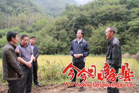 柯大成到軍店鎮調研精準扶貧和村“兩委”換屆工作