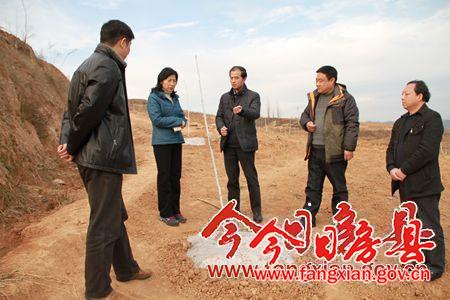 黃德華來我縣調研指導“綠滿房縣”工作