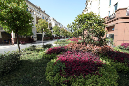 城區(qū)處處滿眼綠   趙愛平攝