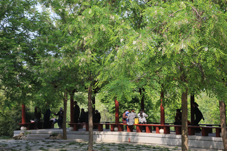 綠韻房縣  水墨山城