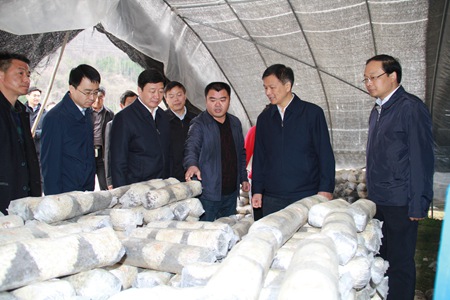 田靜來我縣調(diào)研精準(zhǔn)扶貧和保密工作