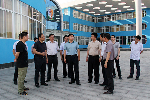 市長張維國調(diào)研我縣工業(yè)企業(yè)發(fā)展情況