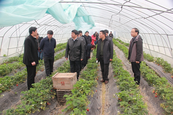 十堰市金融扶貧現(xiàn)場會在房縣召開