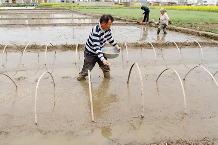 小水利助力春耕生產