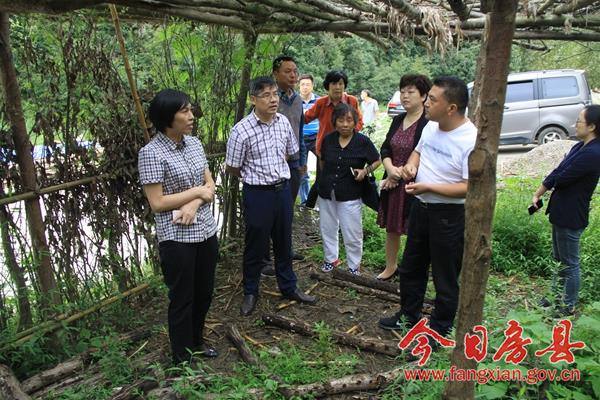 楊玉華一行在青峰鎮(zhèn)峪坪河村調(diào)研