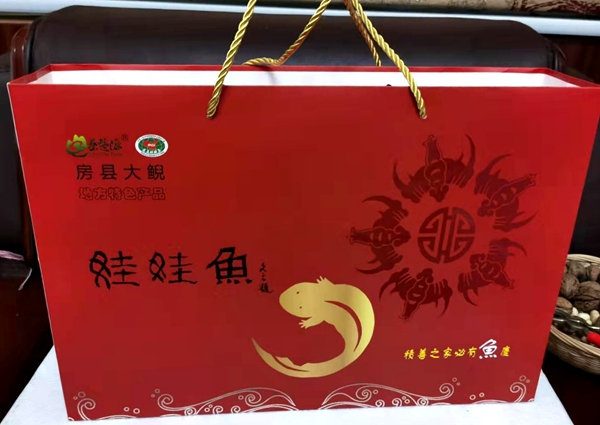 娃娃魚湯 房縣娃娃魚又出新品了