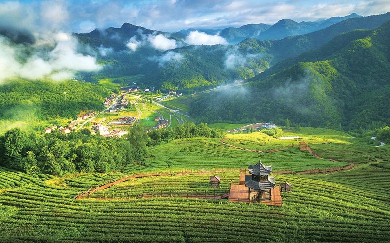 房縣土城黃酒民俗村