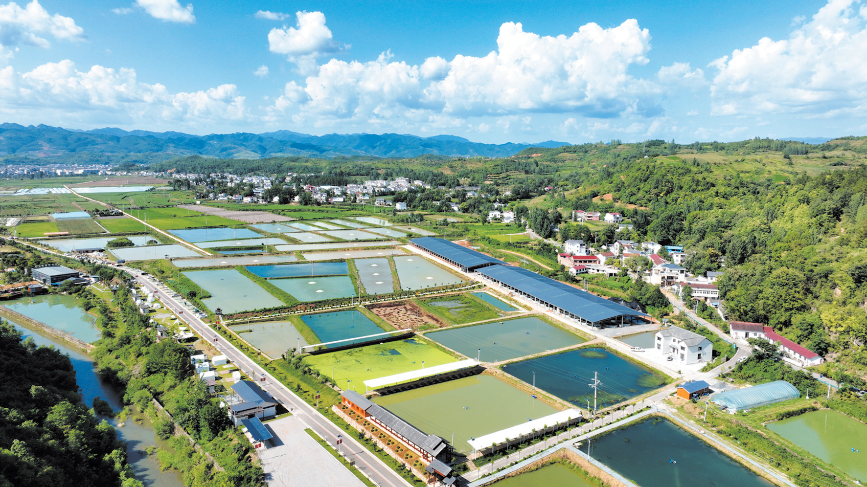 房縣智慧養(yǎng)魚(yú) 效益倍增