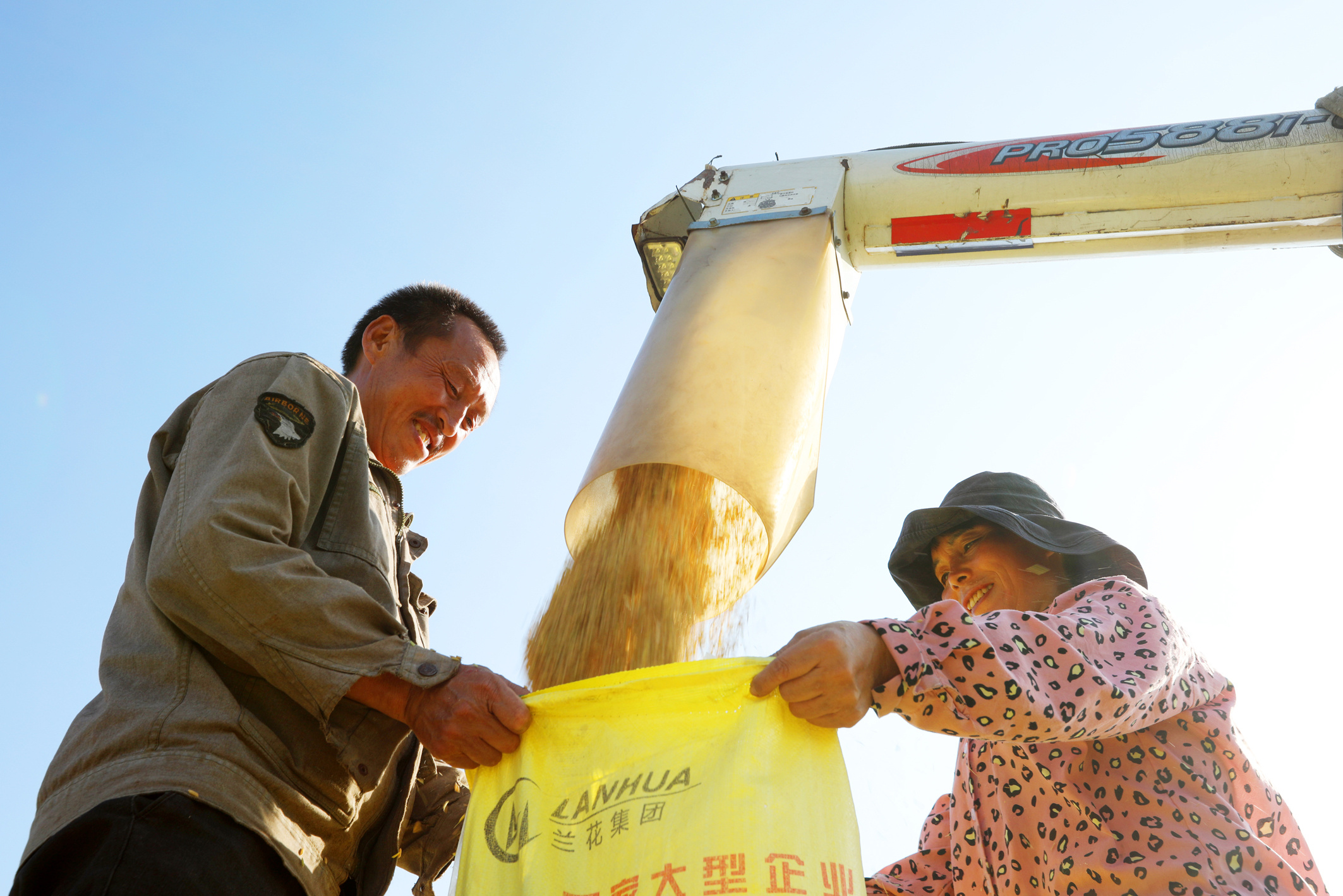 金色農(nóng)田 水稻豐收