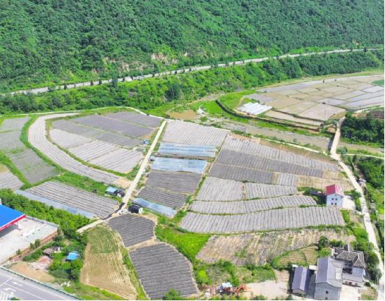 特色產(chǎn)業(yè)助力鄉(xiāng)村振興