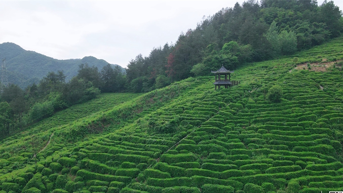 窯淮窯旅游區(qū)獲評國家3A級旅游景區(qū)