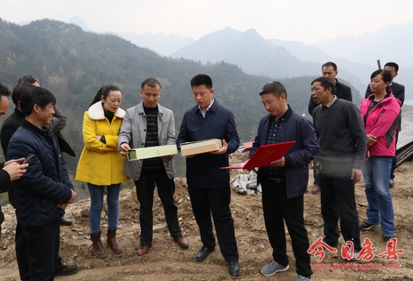 紀道清到姚坪鄉(xiāng)調(diào)研經(jīng)濟社會發(fā)展情況