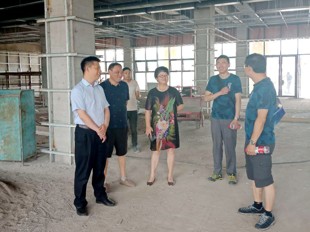 紀(jì)道清調(diào)研“四館一家”項目